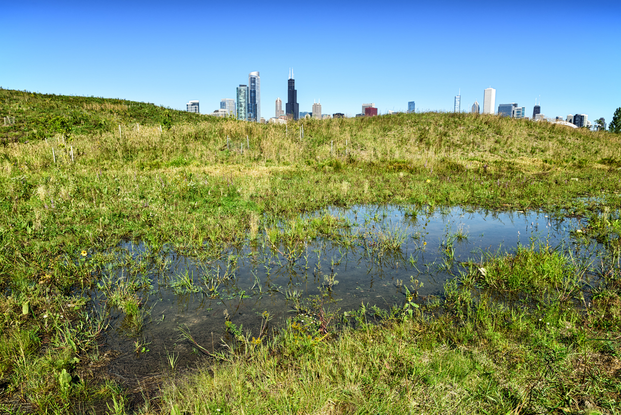  La silhouette de Chicago depuis Northerly Island Park © iStock / stevegeer