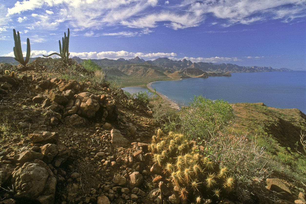 La Sierra de la Giganta borde la Bahía de Loreto; Baja California Sur, Mexique. © iStock / CampPhoto