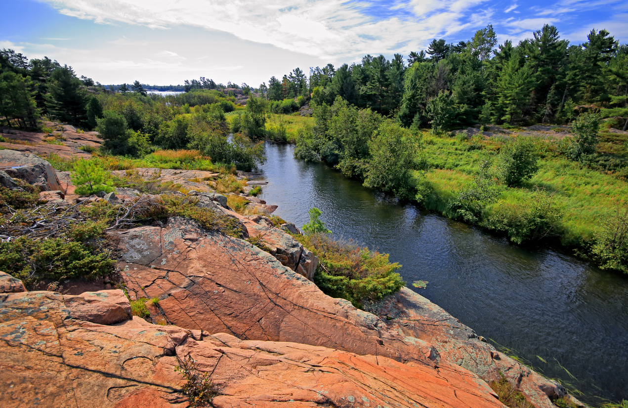 © iStock / Orchidpoet