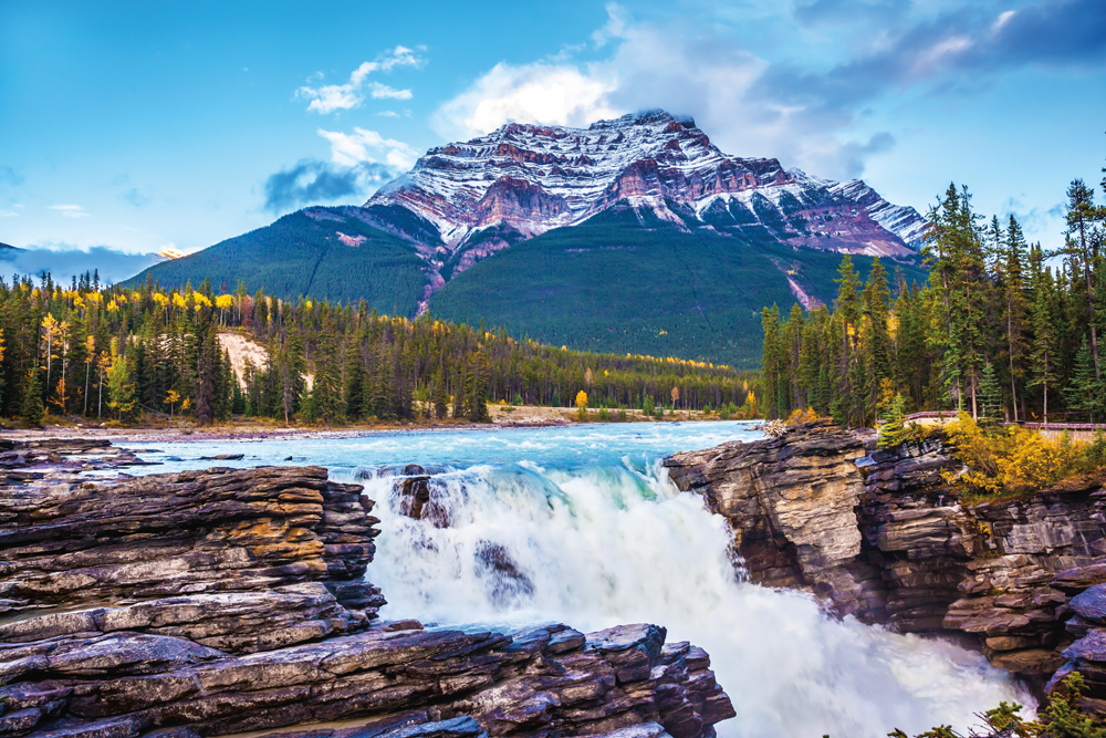 Le glacier Athabasca et le champ de glace Columbia