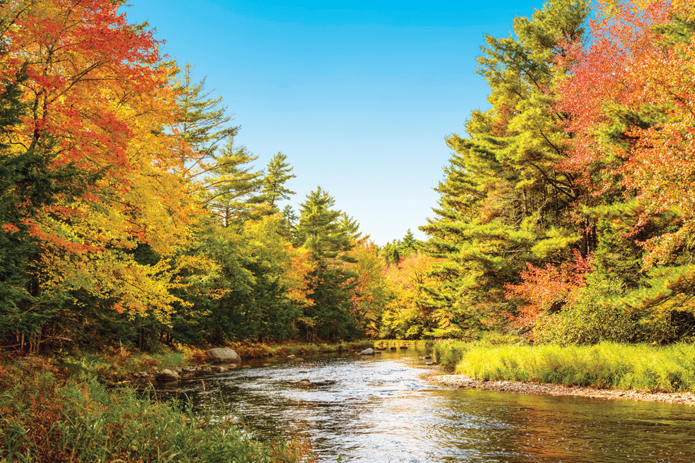 Parcs de la Nouvelle-Écosse