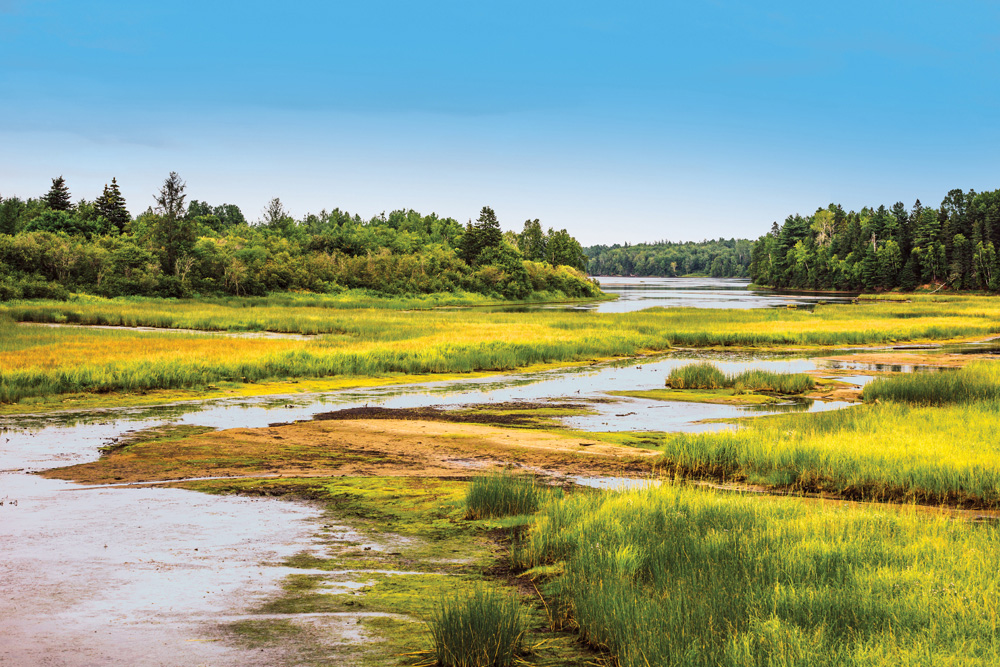 Les parcs nationaux du Nouveau-Brunswick