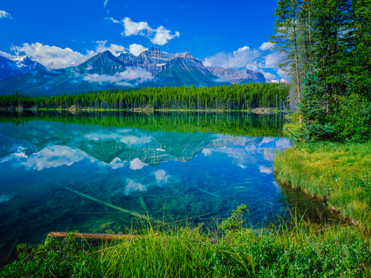 Rocheuses canadiennes dans le parc national de Banff. © iStock / Ron and Patty Thomas