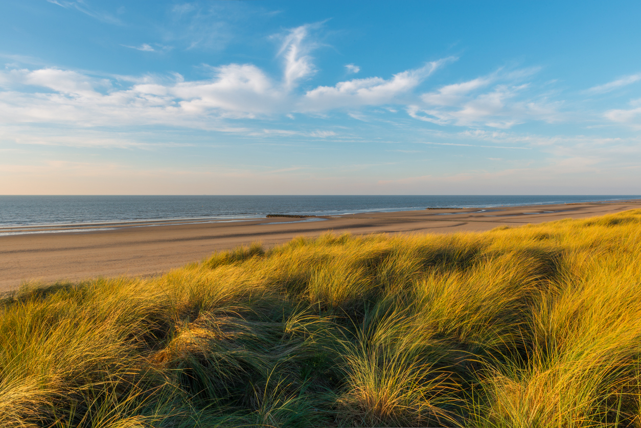 Dunes près d'Ostende, Belgique.  © iStock / SL_Photography