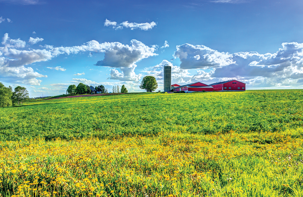 Envie d’une escapade depuis la ville de Québec ?