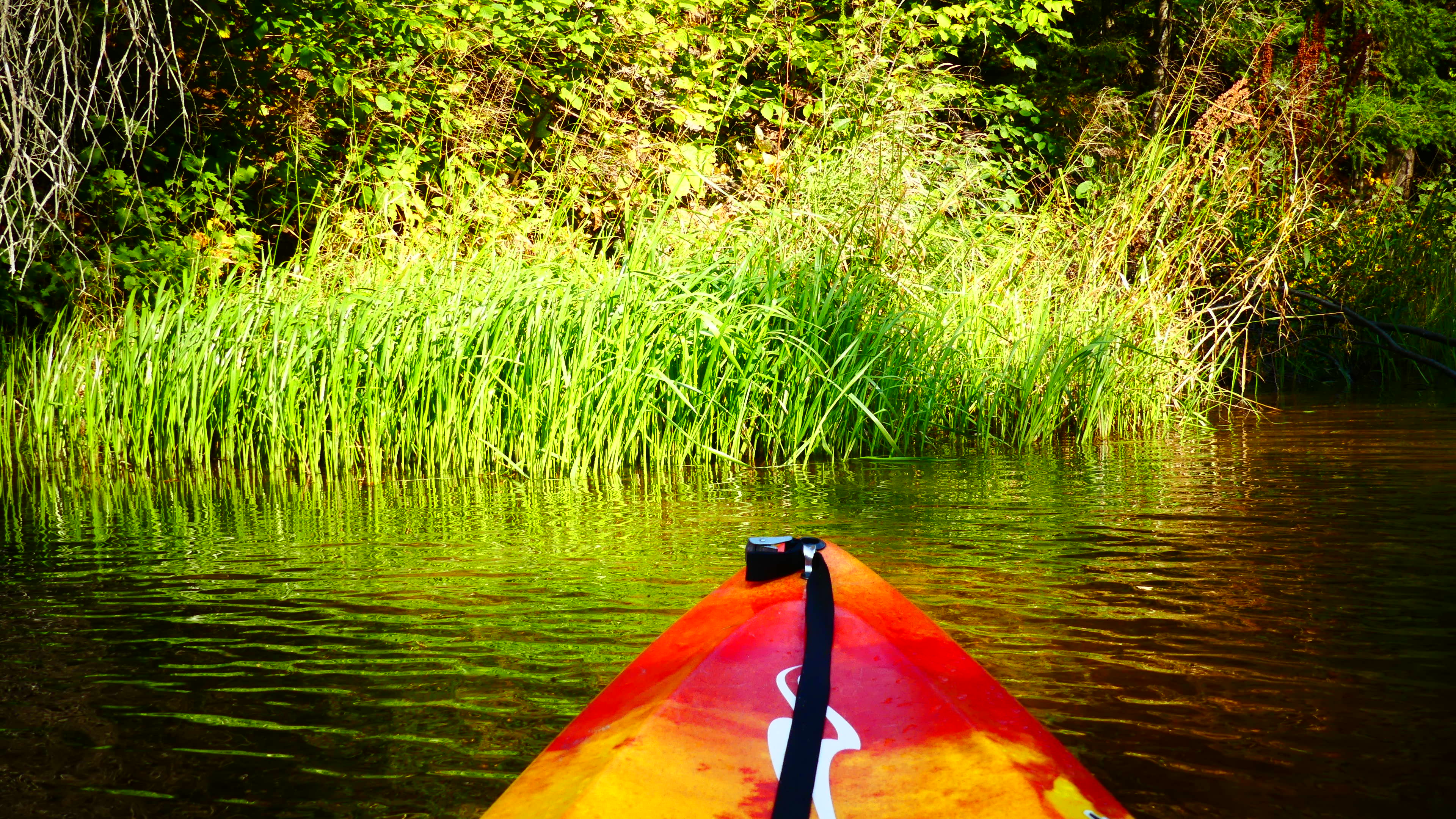 Kayak au Québec ©  iStock / Chantale Ouellet