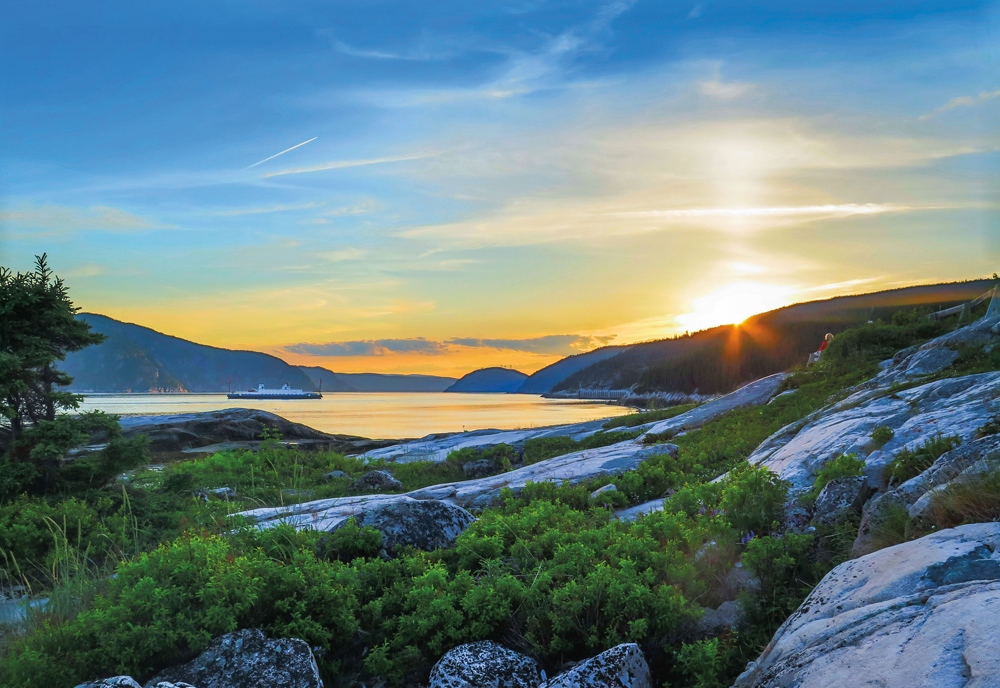 Une véritable autoroute migratoire en plein cœur du golfe!
