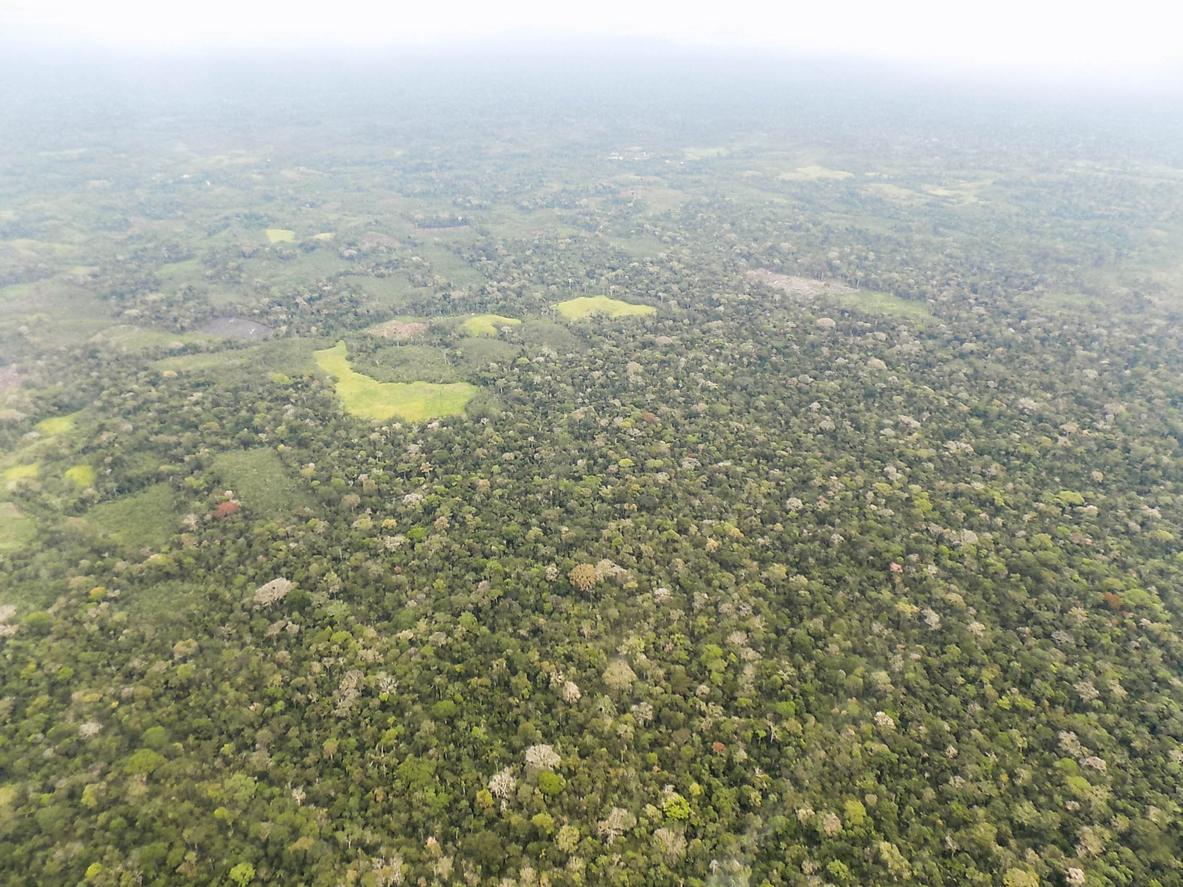 La Selva au Pérou | © iStock / Oscar Cabrera