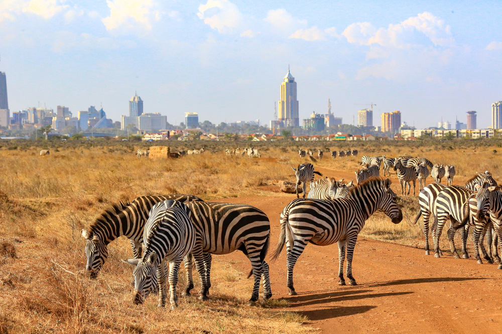 Parcs de Nairobi