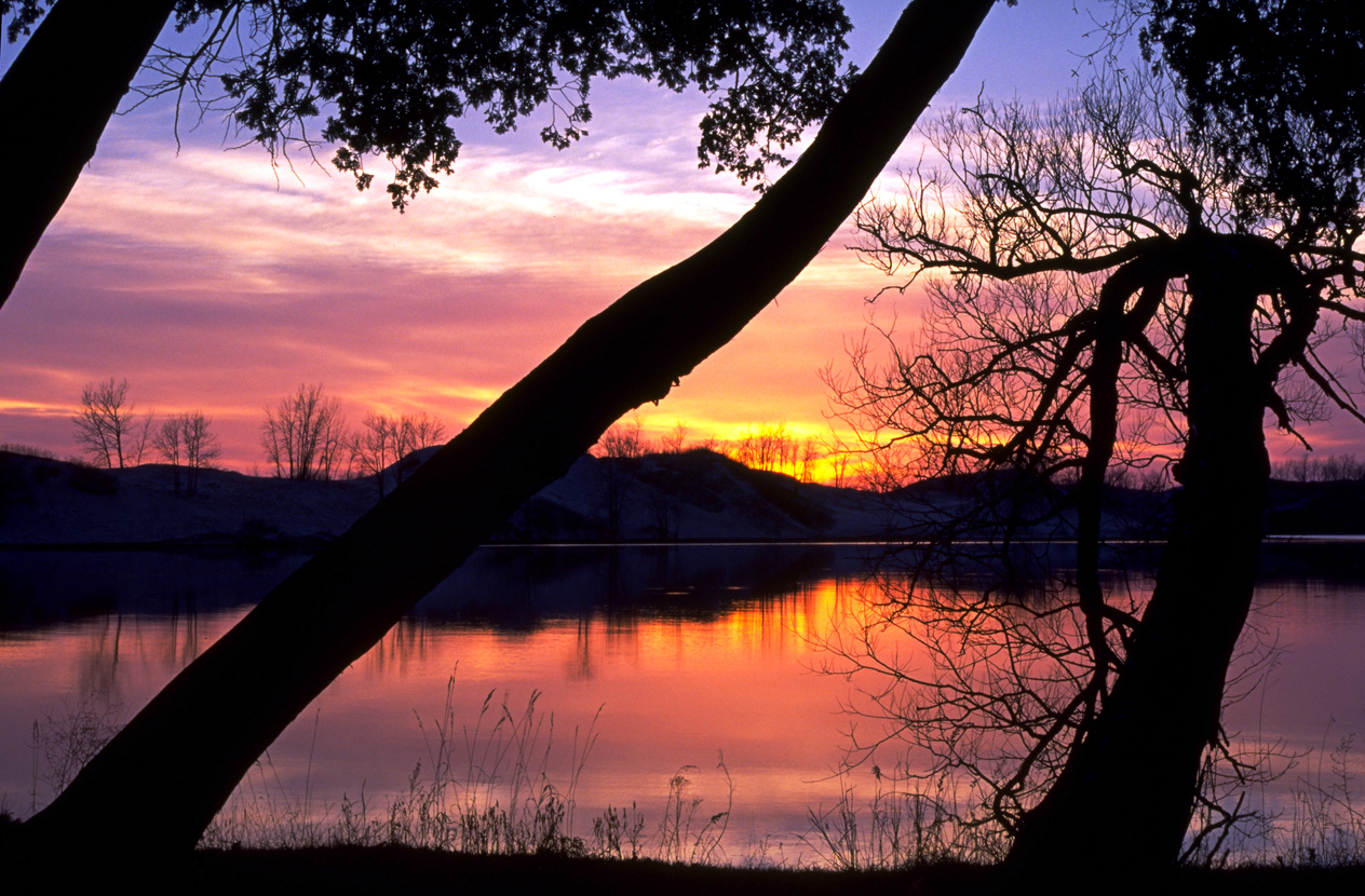 Le Prince Edward County