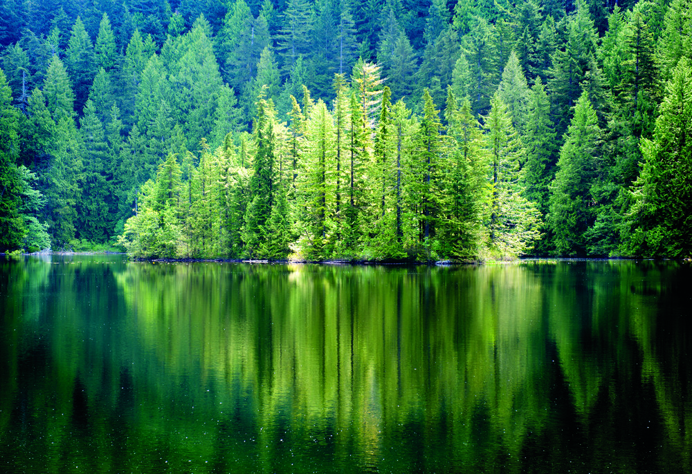 Des paysages à savourer