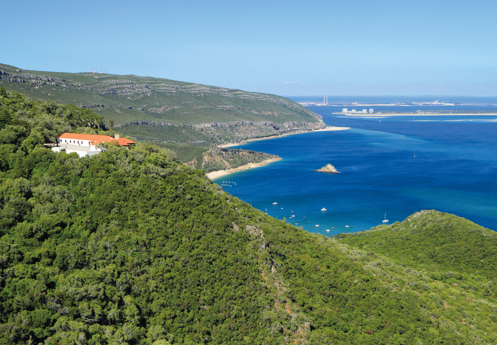 Le Moscatel de Setúbal