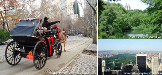 5 grands parcs où faire la pause à New York 
