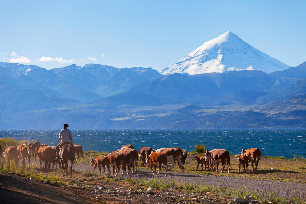 Patagonia argentine