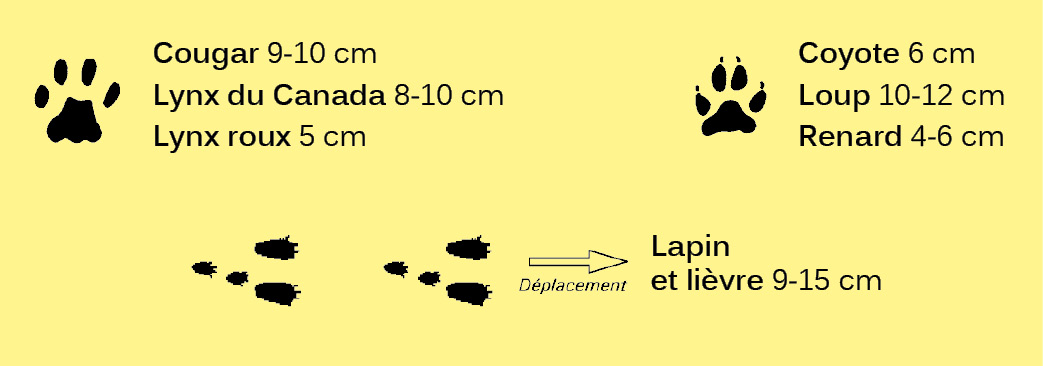 Empreintes-4-doigts.ai