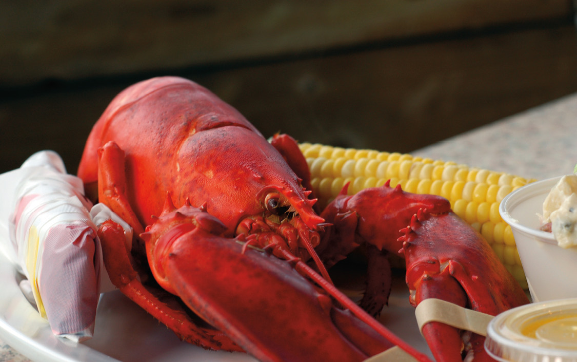 Image iStock-146758629_fmt.jpeg