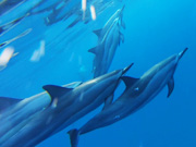 Votre escapade du week-end