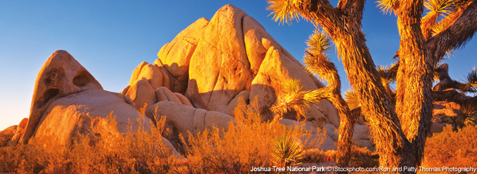 Eve Boissonnault, auteure   du guide Ulysse Los Angeles