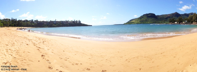 plage-hawaii