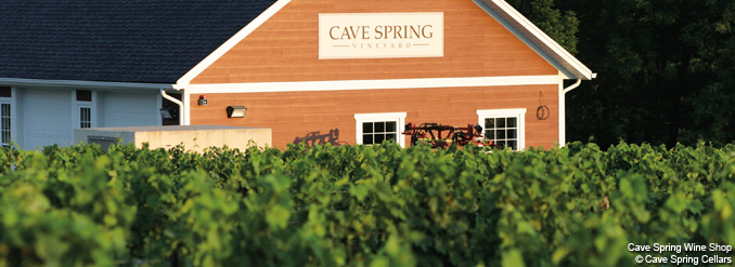 Escale à Niagara Falls et la Route des vins : les incontournables de l’auteure, Annie Gilbert