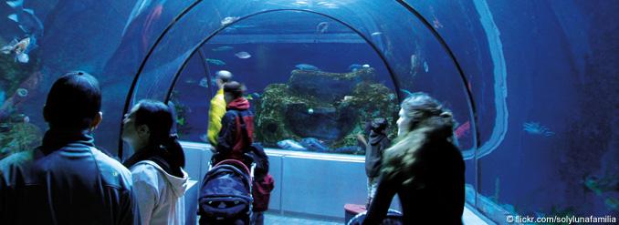 Escale &agrave; Qu&eacute;bec