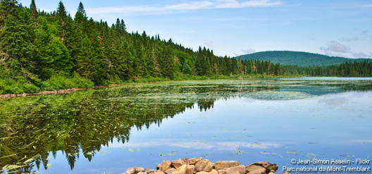 3 longues randonnées au Québec