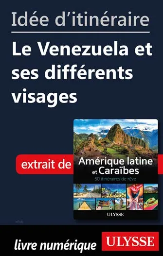 Idée d'itinéraire - Le Venezuela et ses différents visages