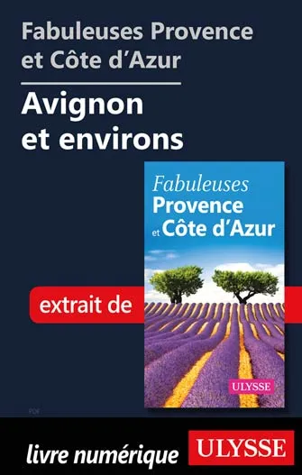 Fabuleuses Provence et Côte d’Azur: Avignon et environs