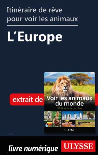 Itinéraires de rêve pour voir les animaux -  L'Europe
