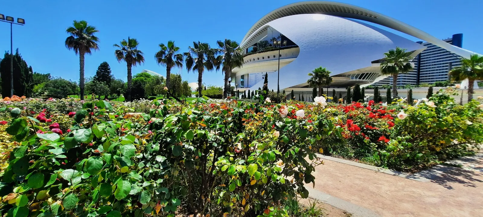 Le Jardin del Turia et le palais des Arts Reina Sofía conçu par l'architecte Calatrava, Valencia, Espagne © Daniel Desjardins