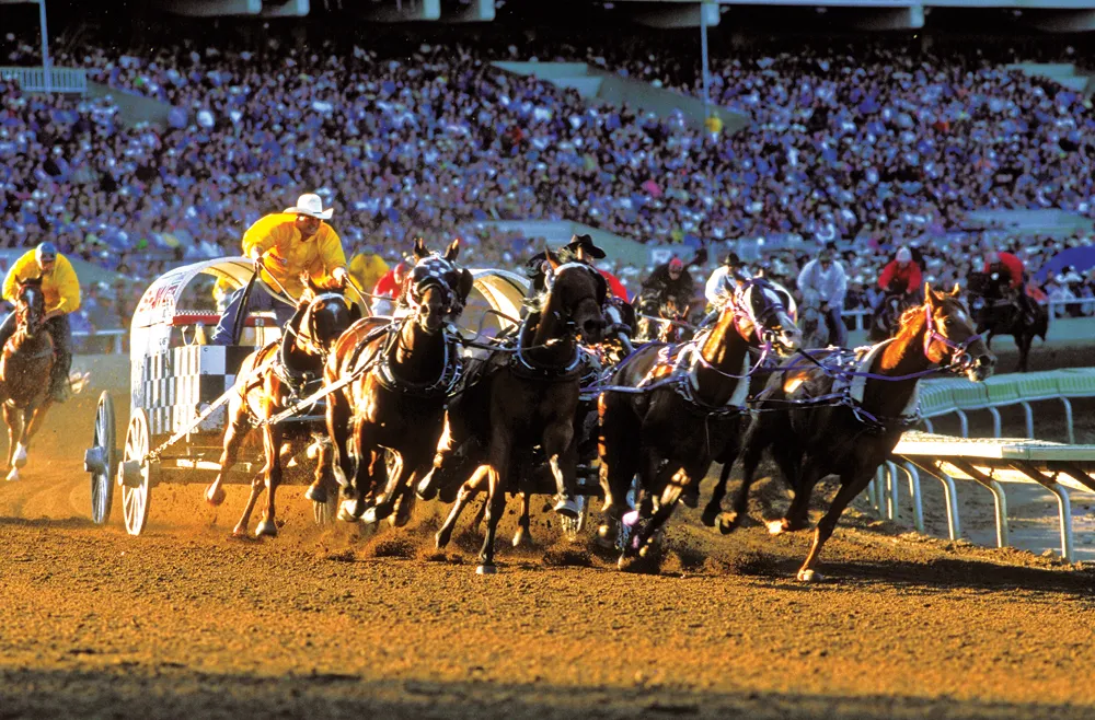 Calgary Exhibition and Stampede. ©Philippe Renault/hemis.fr