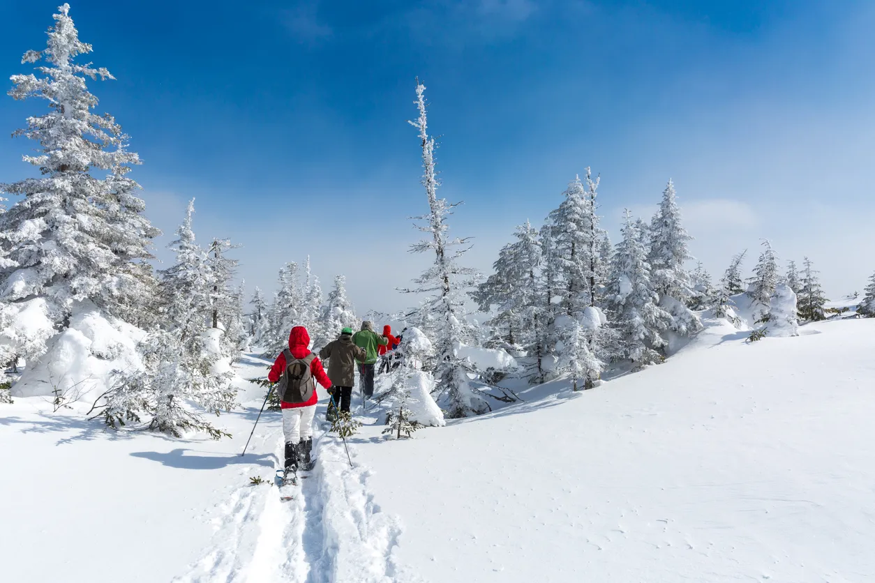 Randonnée en raquettes dans le Parc National des Monts-Valin © iStock / Onfokus
