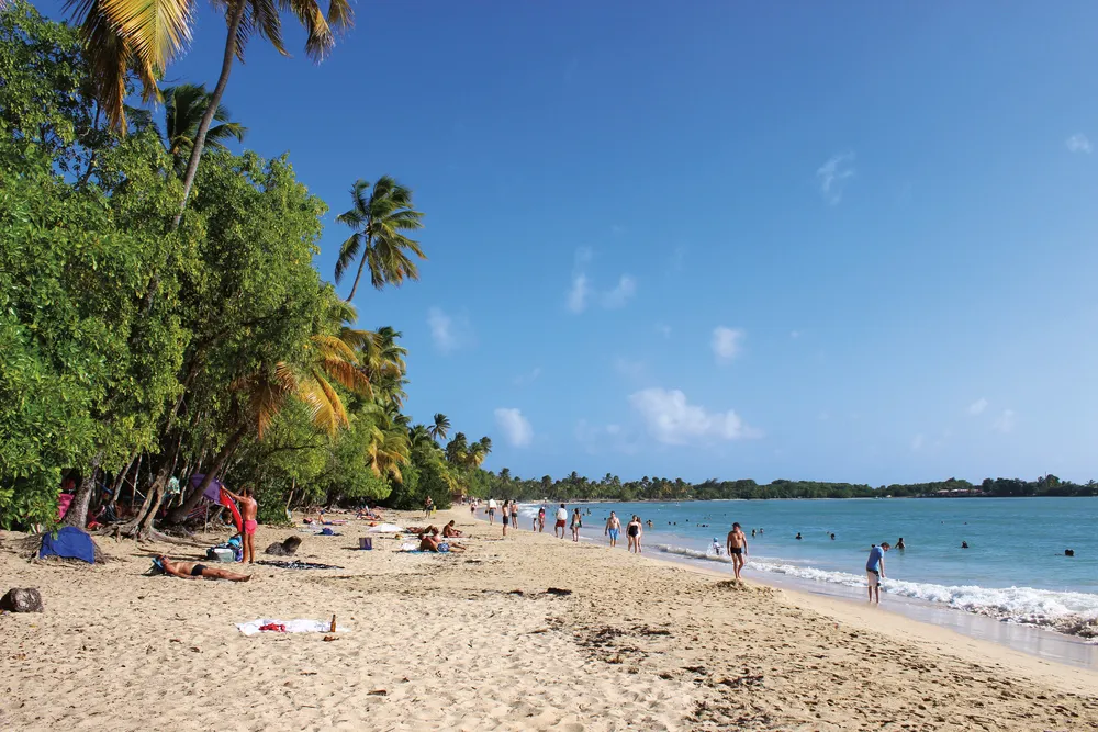 Crédit:	©Claude Morneau