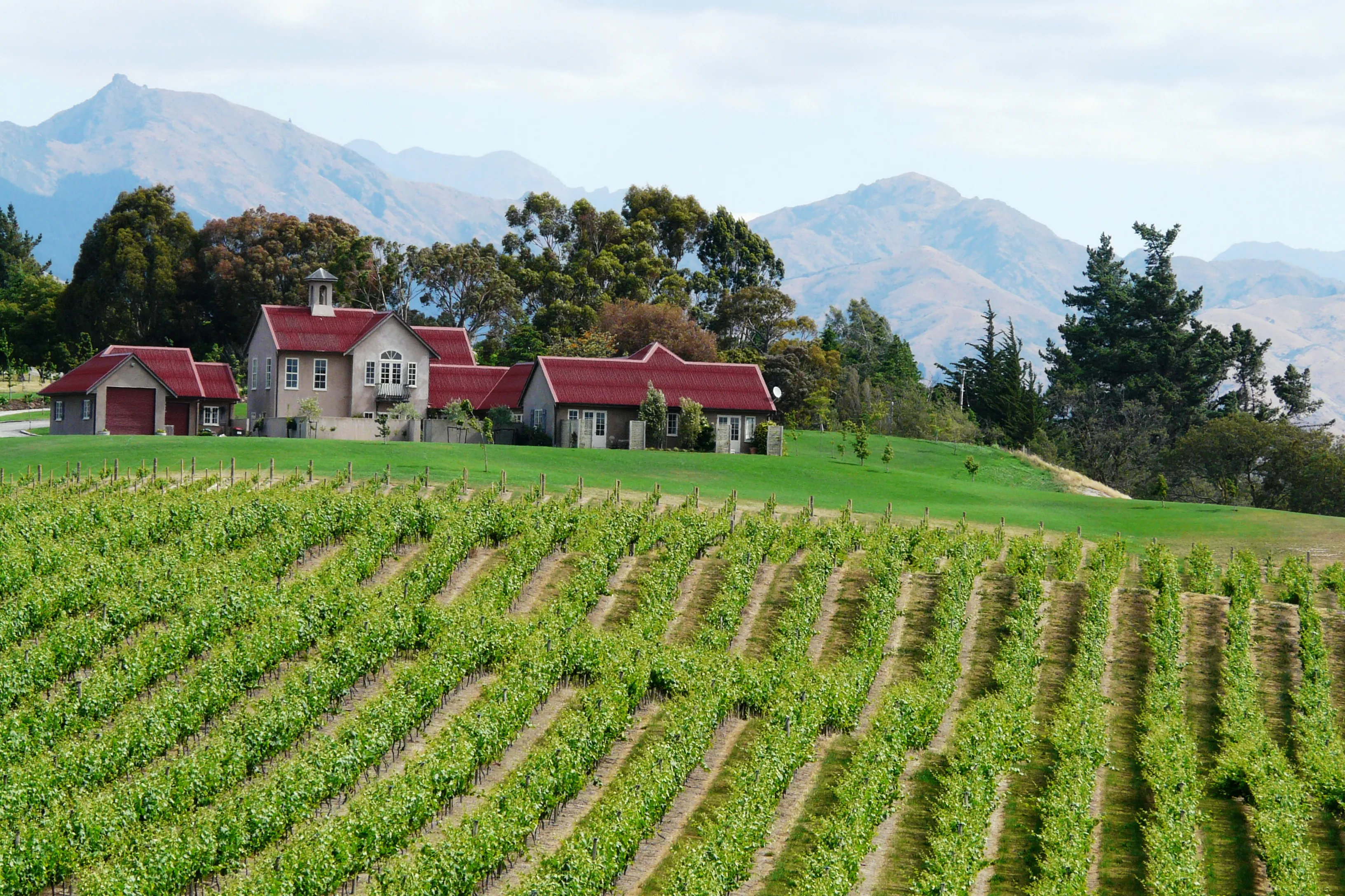 Les vignobles de la Highfield Estate-Marlborough Wineries - photo © Marc Rigole