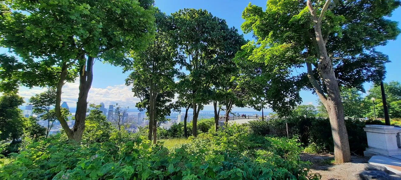 La nature au Parc du Mont-Royal tel que la voyait peut-être Jeanne-Mance, et  le centre-ville de Montréal en arrière-plan © Daniel Desjardins