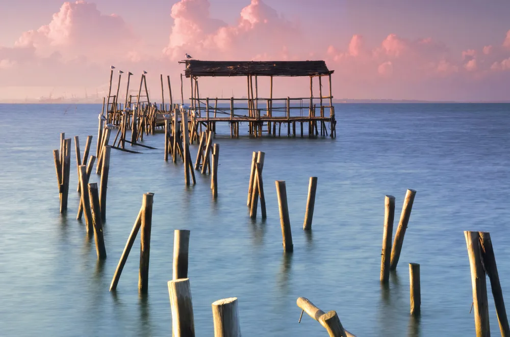 La Reserva Natural do Estuário do Sado.	©Shutterstock/Nuno Maia