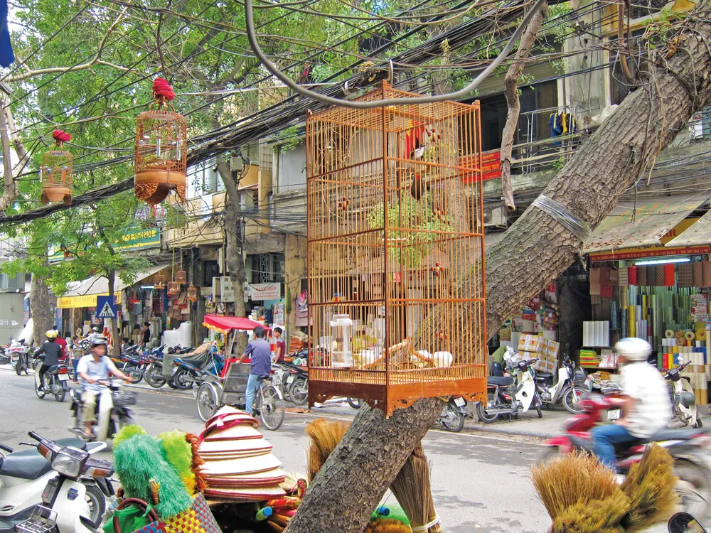 Vieille ville de Hanoi | © Rodolphe Lasnes