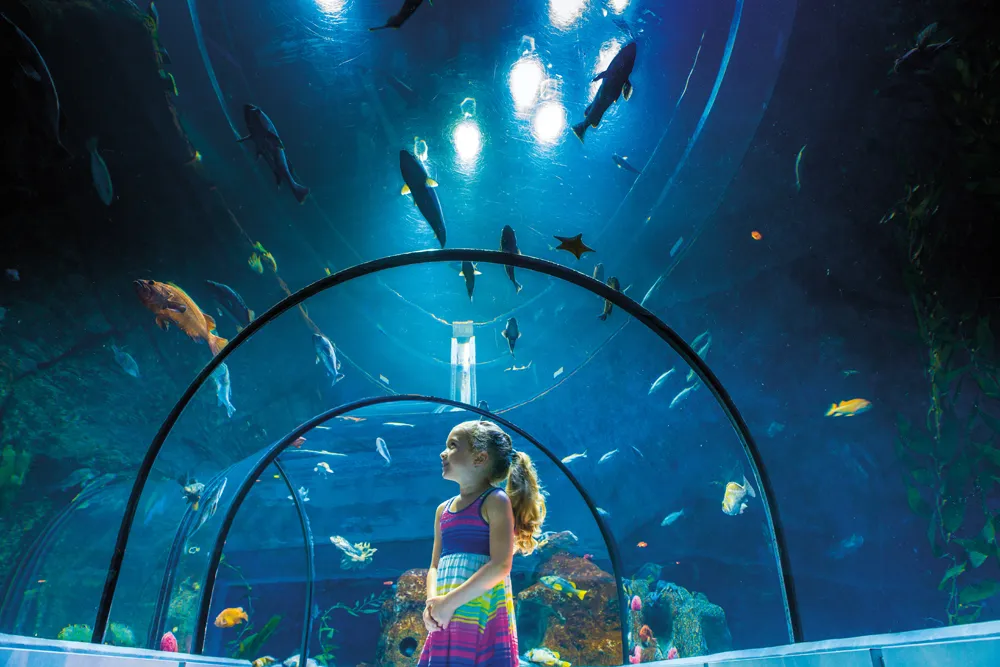 Aquarium du Québec. 
©Aquarium du Québec, Sépaq 