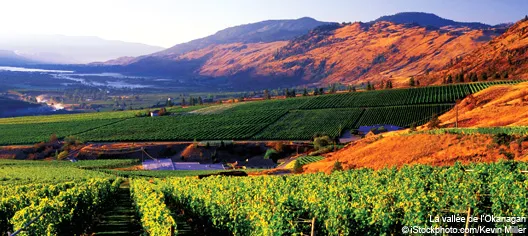 La vallée de l'Okanagan  | © iStock / Kevin Miller