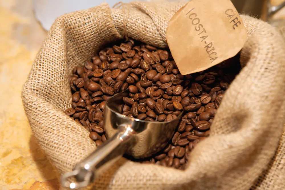 Café costaricien.	©Dreamstime/Hacohob