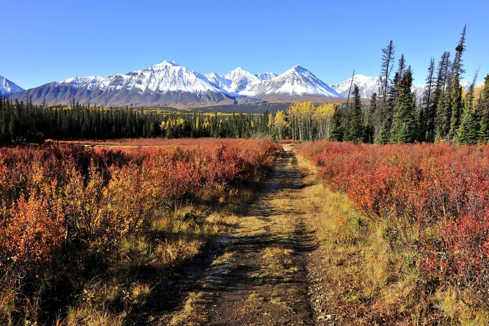 Le parc national Kluane.  | © Dreamstime.com/Yasushi Tanikado