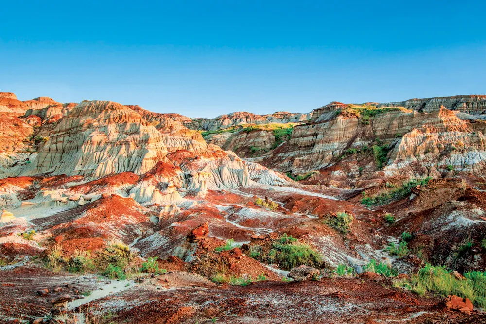 Dinosaur Provincial Park. | © Dreamstime.com/Ronniechua