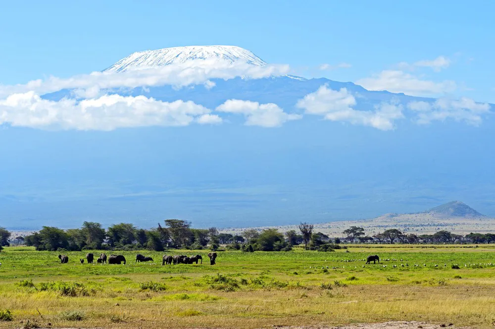 Éléphants, parc national d’Amboseli | © Dreamstime.com/Eduard Kyslynskyy 