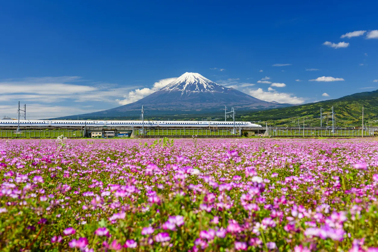 Le train à haute vitesse Shinkansen avec vue sur le Mont Fuji - photo © iStock-blanscape