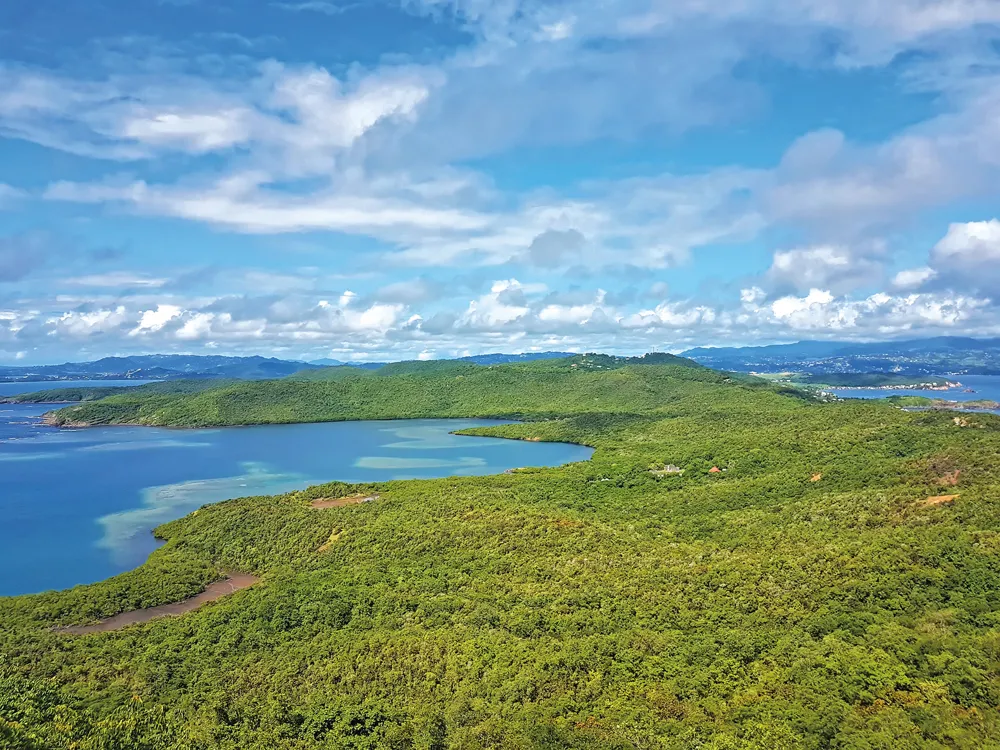 Presqu’île de la Caravelle. © iStockphoto / thierry64