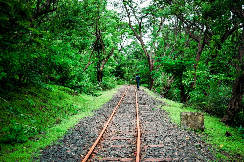 Sanjay Gandhi National Park, Mumbai, Inde | © Umang Shrestha