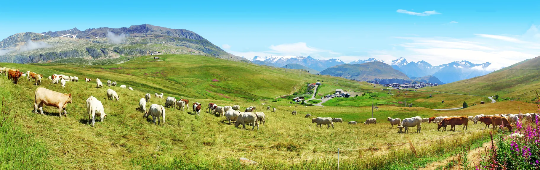 Vallée de l'Oisans dans les Alpes françaises  © iStock / Max Labeille