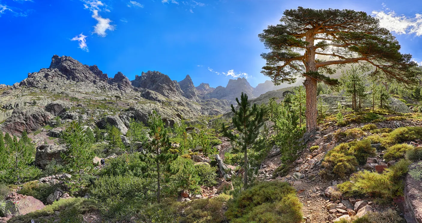 Sur le sentier GR 20 près d'Asco, en Corse © iStock / tane-mahuta 