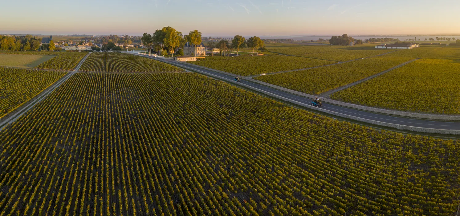 La route des châteaux, dans le Médoc ©  iStock / SpiritProd33