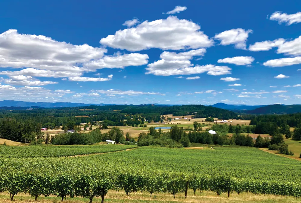 Willamette Valley ©iStockphoto.com/Tracie Caro 